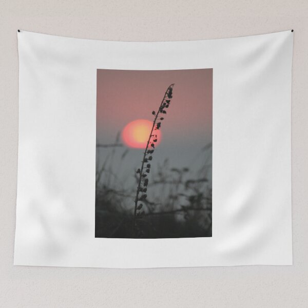 Item preview, Cornish sunset near Perranporth, Cornwall, UK designed and sold by Emma  Amies.