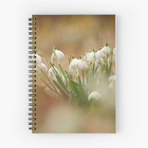 Item preview, Digital photograph of snowdrops designed and sold by SimonJohnson1.
