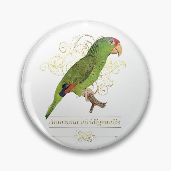 Item preview, Copy of The Tamaulipas Parrot designed and sold by obscurite.