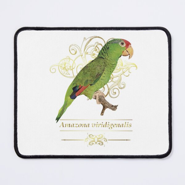 Item preview, Copy of The Tamaulipas Parrot designed and sold by obscurite.
