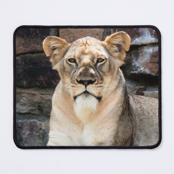 Item preview, Felines, animal collection #luk&arts make a tribute to those you like.Felines, animal collection #luk&arts make a tribute to those you like. designed and sold by LUK0arts.