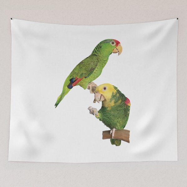 Item preview, Tamaulipas parrot and yellow-headed parrot designed and sold by obscurite.