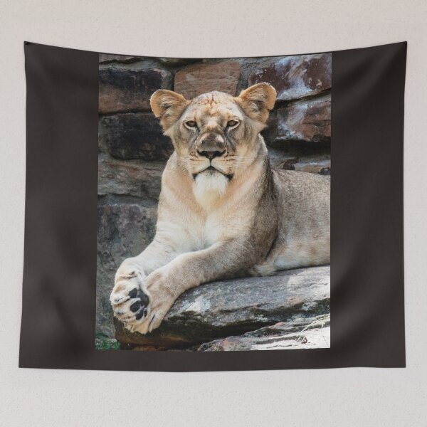 Item preview, Felines, animal collection #luk&arts make a tribute to those you like.Felines, animal collection #luk&arts make a tribute to those you like. designed and sold by LUK0arts.
