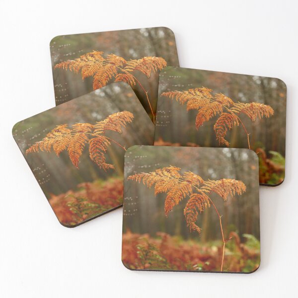 Item preview, Digital Photograph of autumn fern designed and sold by SimonJohnson1.