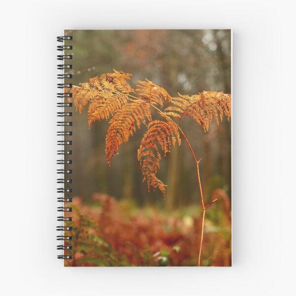 Item preview, Digital Photograph of autumn fern designed and sold by SimonJohnson1.