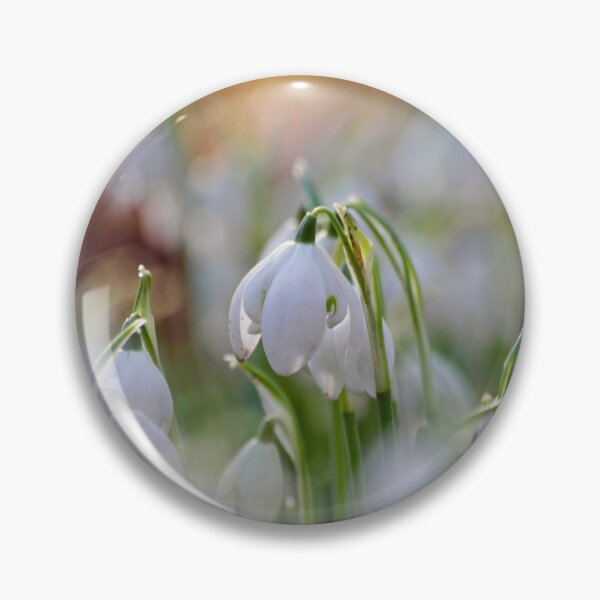Aperçu de l'œuvre Photographie numérique de fleur de perce-neige créée et vendue par SimonJohnson1.