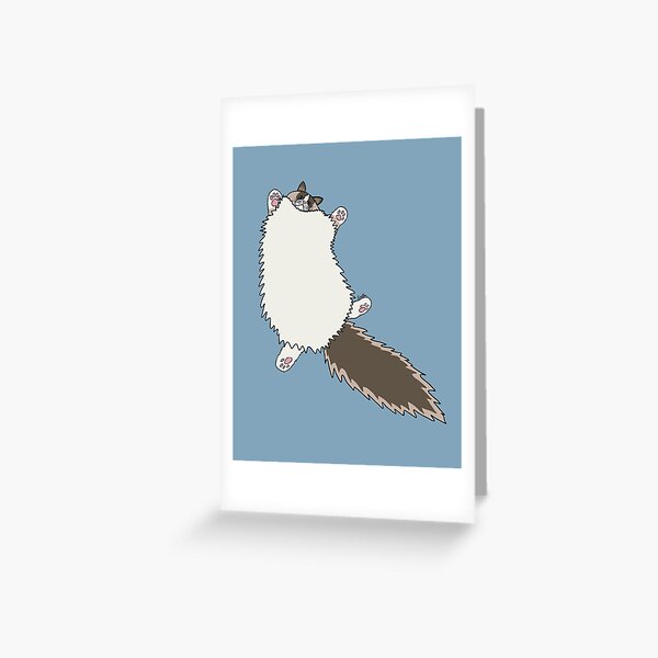 Fluffy Ragdoll Cat Stretch - Glacial Lake Background Greeting Card