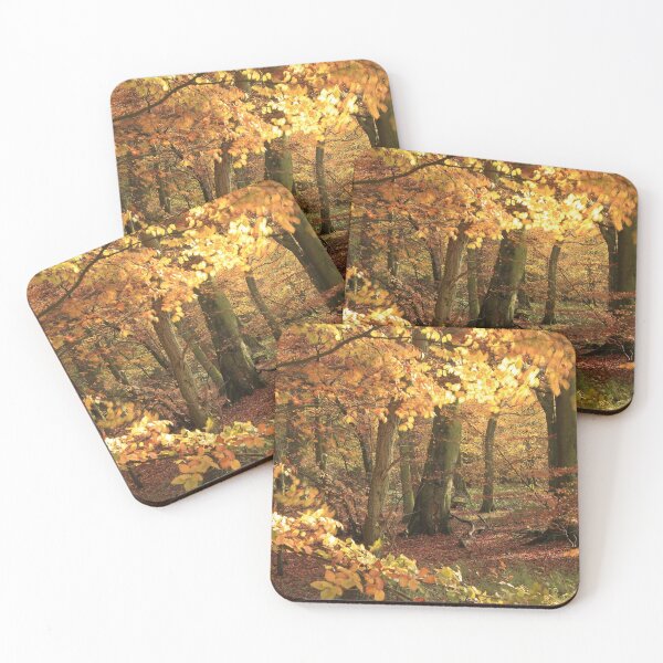 Item preview,  Digital Photograph  of Sunlit Autumnal woodland designed and sold by SimonJohnson1.
