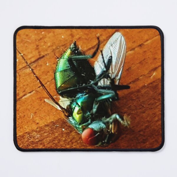 Item preview, DOA Fly designed and sold by IgniteWithin.