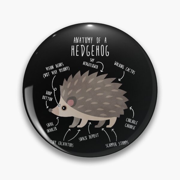 Item preview, Hedgehog Anatomy designed and sold by Clara Hollins.