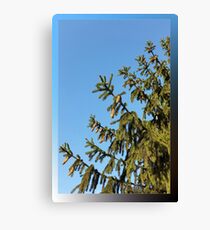 Tree for Christmas Canvas Print