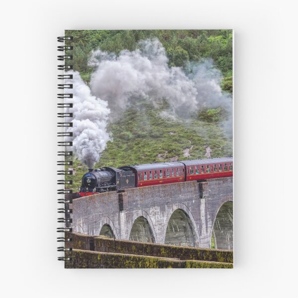 Item preview, Steam Train on the Glenfinnan Viaduct designed and sold by derekbeattie.