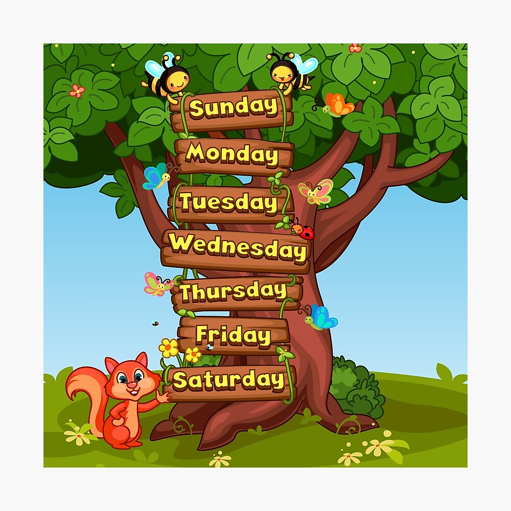 weekdays weekdays