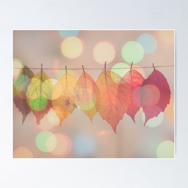 Autumn Leaves in Vivid Colors through Bokeh Poster