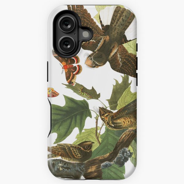 Item preview,  Eastern Whip-poor-will - John James Audubon designed and sold by billythekidtees.