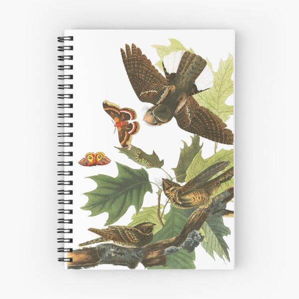 Item preview,  Eastern Whip-poor-will - John James Audubon designed and sold by billythekidtees.