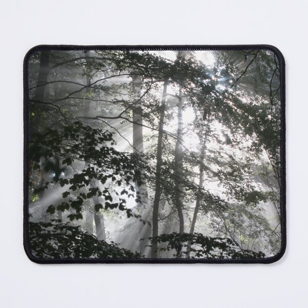 Item preview, Digital Photograph of woodland sunlight designed and sold by SimonJohnson1.