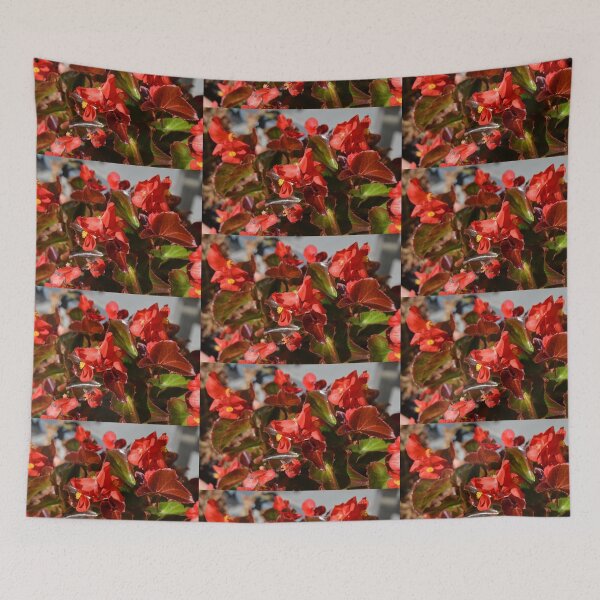 Item preview, Red Begonia designed and sold by Malcolm Snook.