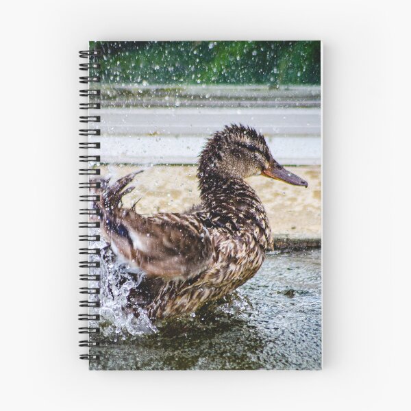 Item preview, Duck Splashing designed and sold by JoshuaBroken.
