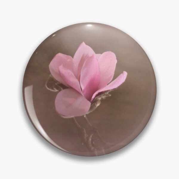 Aperçu de l'œuvre Photographie numérique de la fleur de Magnolia créée et vendue par SimonJohnson1.