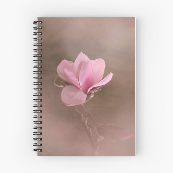 Item preview, Digital photograph of Magnolia Flower designed and sold by SimonJohnson1.