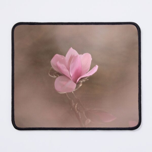 Item preview, Digital photograph of Magnolia Flower designed and sold by SimonJohnson1.