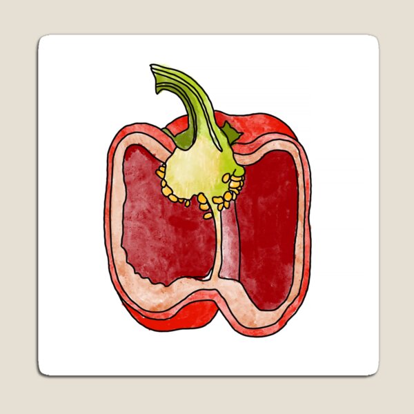 Item preview, Sweet red pepper. Cut the pod into halves. Realistic watercolor drawing on a white background. designed and sold by IrinaSenkova.