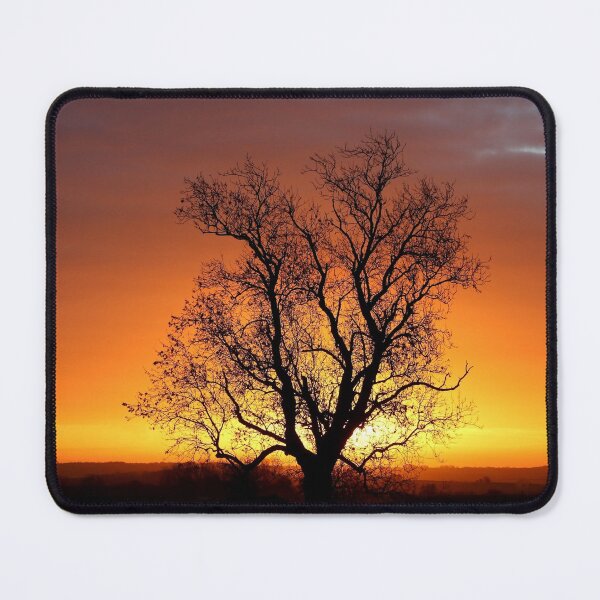 Item preview, Digital Photograph of tree silhouette at sunrise designed and sold by SimonJohnson1.