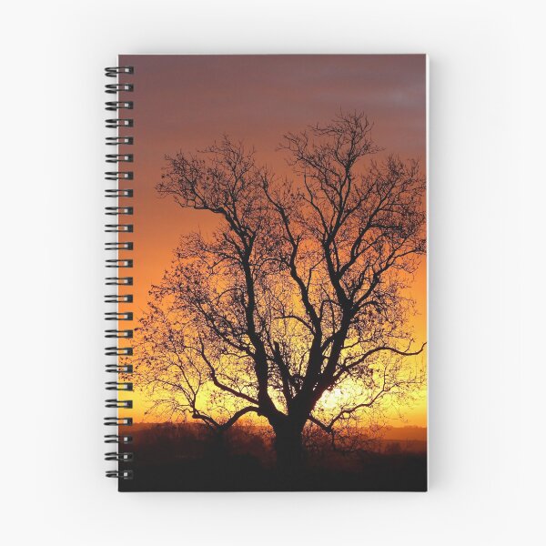 Item preview, Digital Photograph of tree silhouette at sunrise designed and sold by SimonJohnson1.