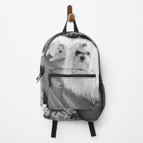 Item preview, Cutest White Maltese Looking At You designed and sold by Happykale.