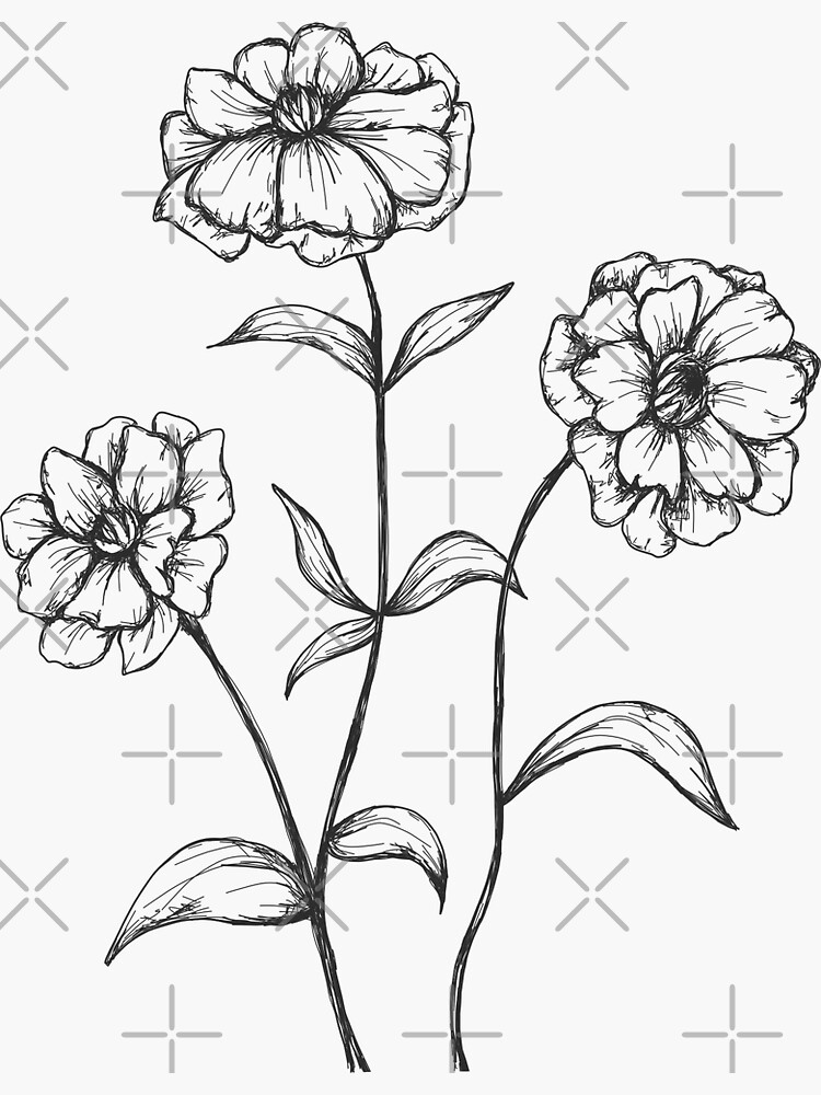 "Butterfly Ranunculus Flower Line Drawing" Sticker for Sale by