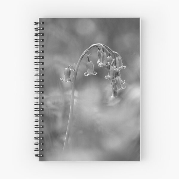 Item preview, Digital photograph of bluebell flower designed and sold by SimonJohnson1.
