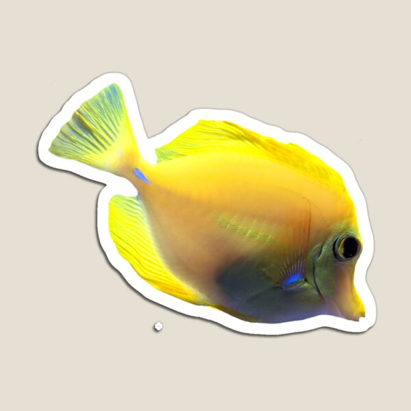 Item preview, Yellow Fish designed and sold by shadowspeeder.