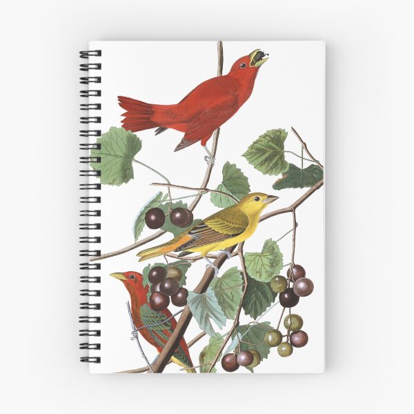 Item preview,  Summer Tanager - John James Audubon designed and sold by billythekidtees.