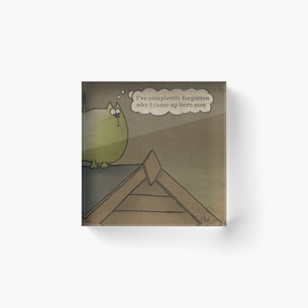 I've completely forgotten why I came up here now Acrylic Block