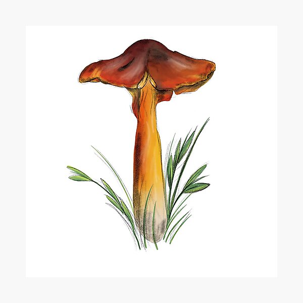 Item preview, Red mushroom  designed and sold by Sunthecatdragon.