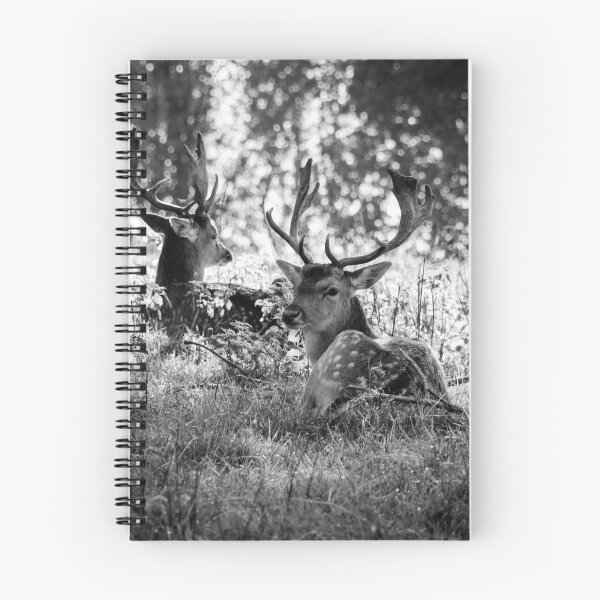 Item preview, Young Stags B&W designed and sold by Carolyn Eaton.