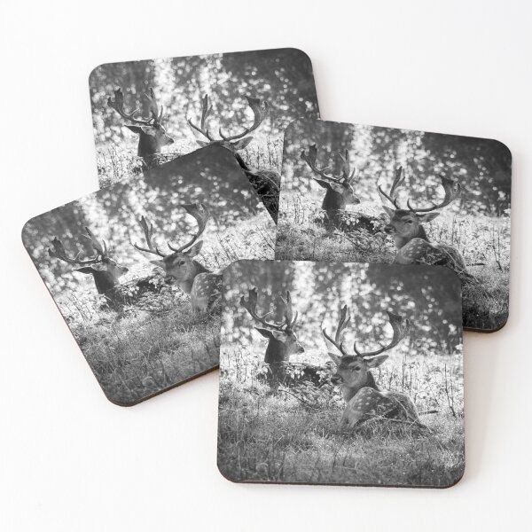 Item preview, Young Stags B&W designed and sold by Carolyn Eaton.