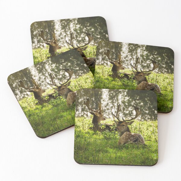 Item preview, Young Stags designed and sold by Carolyn Eaton.