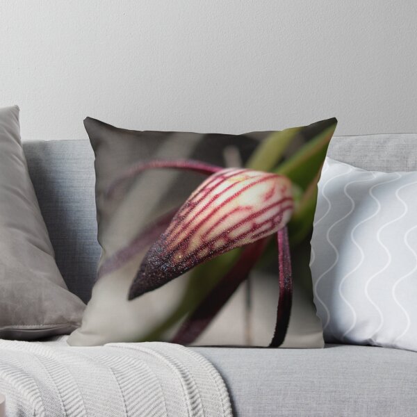 Item preview, Pyrorchis Nigricans 2 designed and sold by Ben Loveday.
