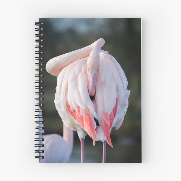Item preview, Flamingo designed and sold by Carolyn Eaton.