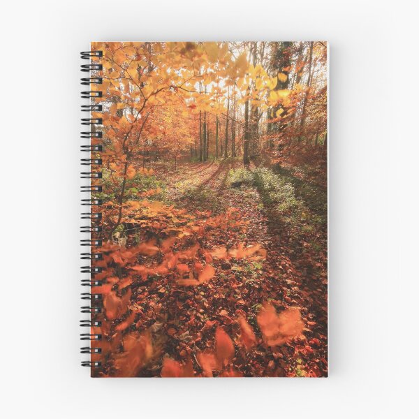 Item preview, Digital Photograph of autumn woodland designed and sold by SimonJohnson1.