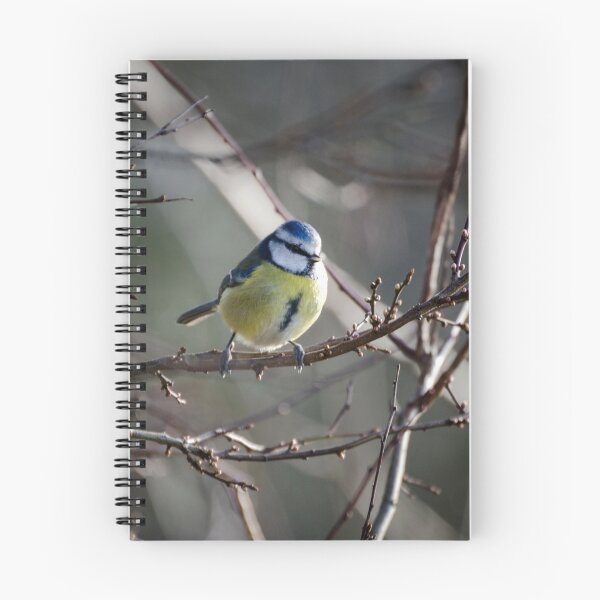 Item preview, Blue Tit designed and sold by Carolyn Eaton.