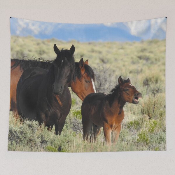 Item preview, Wild horses, mustangs, wildlife, gifts designed and sold by Sandra O'Toole.