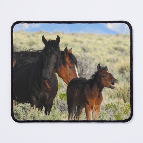 Item preview, Wild horses, mustangs, wildlife, gifts designed and sold by Sandra O'Toole.