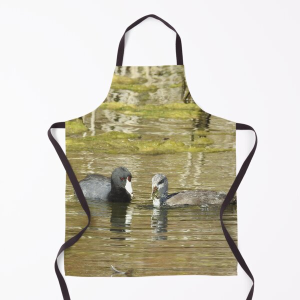 Item preview, American Coots, birds, wildlife, gifts, mama and babe designed and sold by Sandra O'Toole.