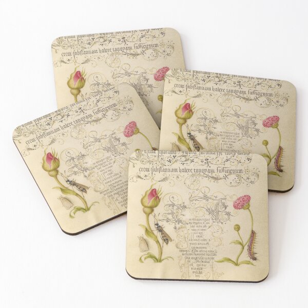 Item preview, Rose, wasp, daisy and caterpillar: ca 1500's designed and sold by ebrawne.