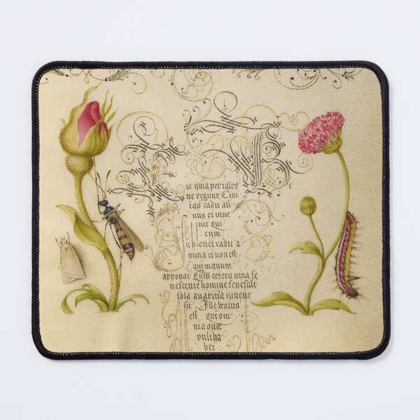 Item preview, Rose, wasp, daisy and caterpillar: ca 1500's designed and sold by ebrawne.