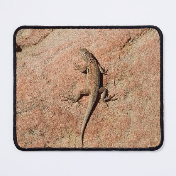Item preview, Common side-blotched lizard, reptiles, wildlife, gifts designed and sold by Sandra O'Toole.