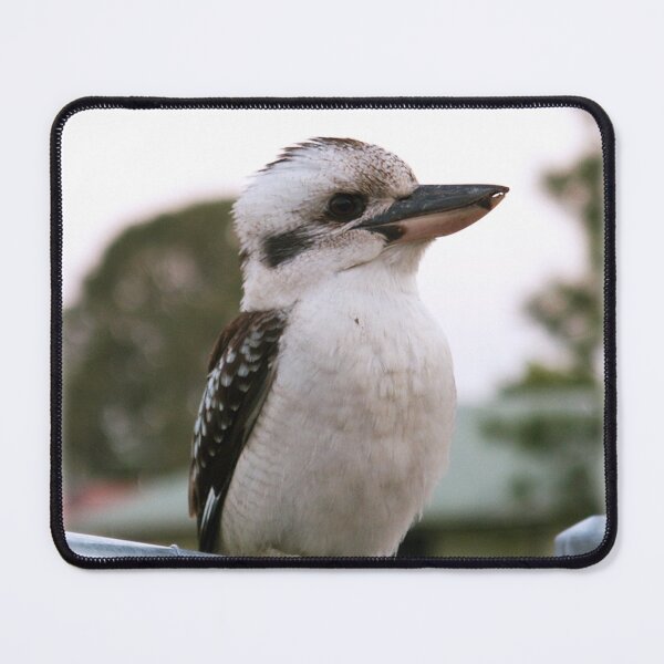 Item preview, Australian Kookaburra - bird designed and sold by Elisabeth Dubois.